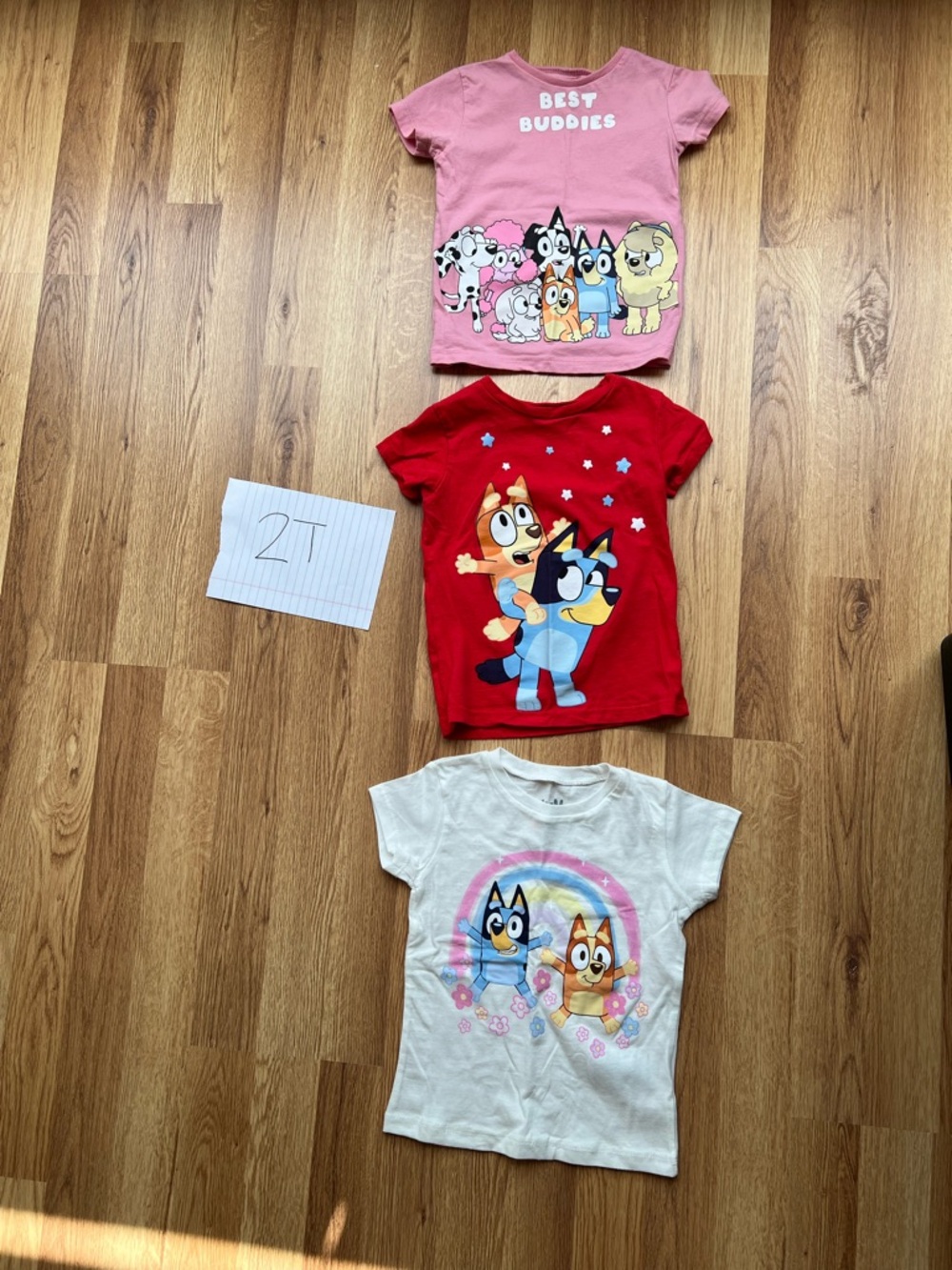 Bluey Graphic Tee - 2T